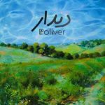 دانلود آهنگ گروه پلیور دیدار