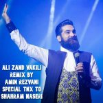 دانلود آهنگ امین رضوانی ریمیکس شاد (علی زندوکیلی)