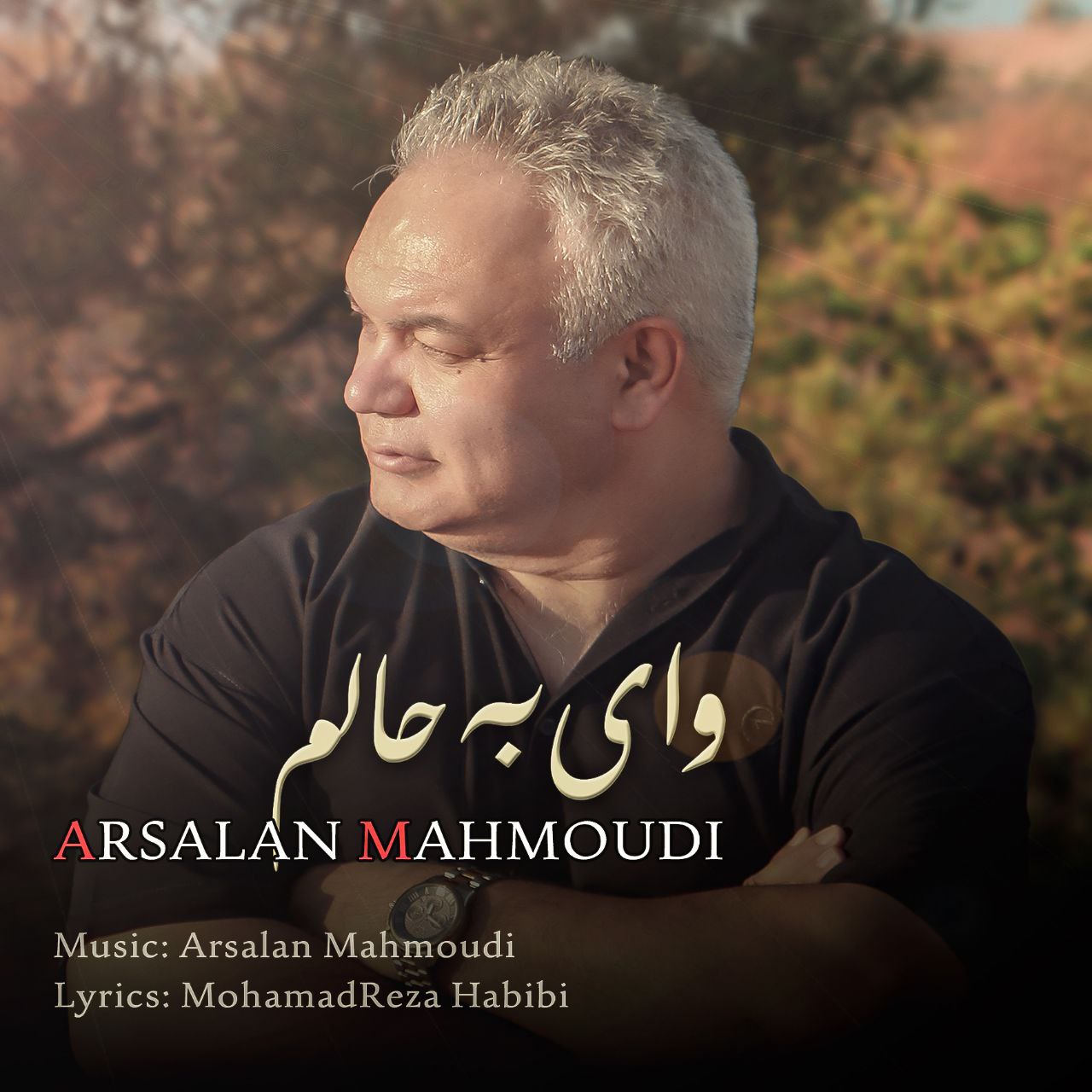 دانلود آهنگ ارسلان محمودی وای به حالم