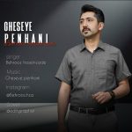 دانلود آهنگ بهروز حسین زاده قصه پنهانی