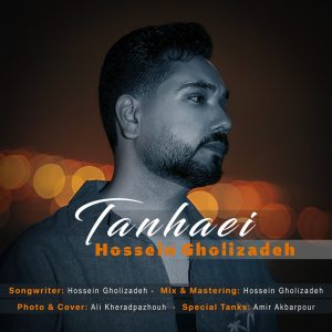 دانلود آهنگ حسین قلی زاده تنهایی