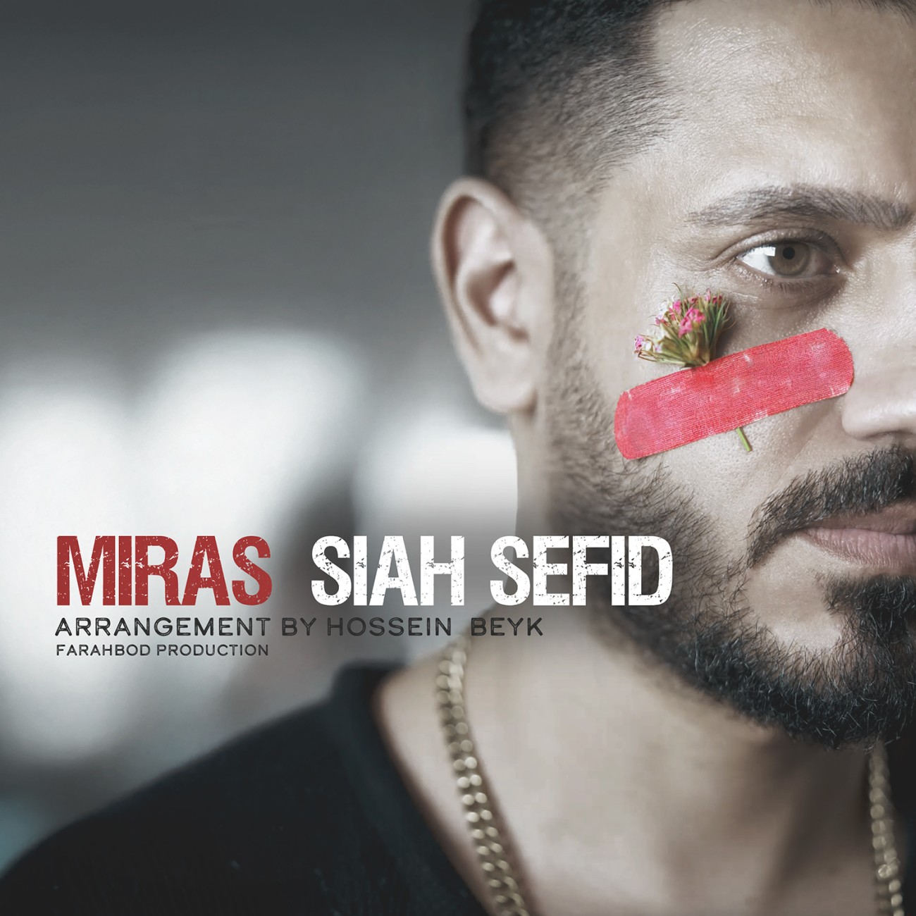 دانلود آهنگ میراث سیاه سفید