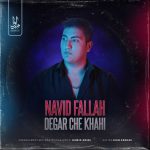 دانلود آهنگ نوید فلاح دگر چه خواهی