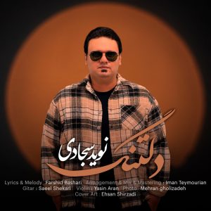 دانلود آهنگ نوید سجادی دلتنگ