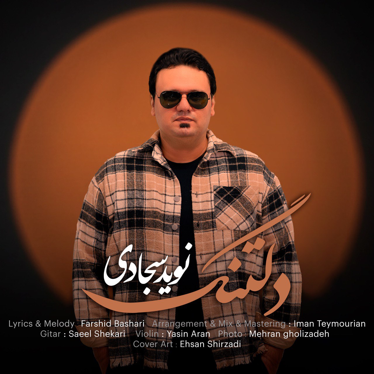 دانلود آهنگ نوید سجادی دلتنگ