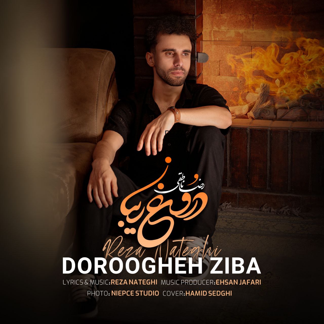 دانلود آهنگ رضا ناطقی دروغ زیبا