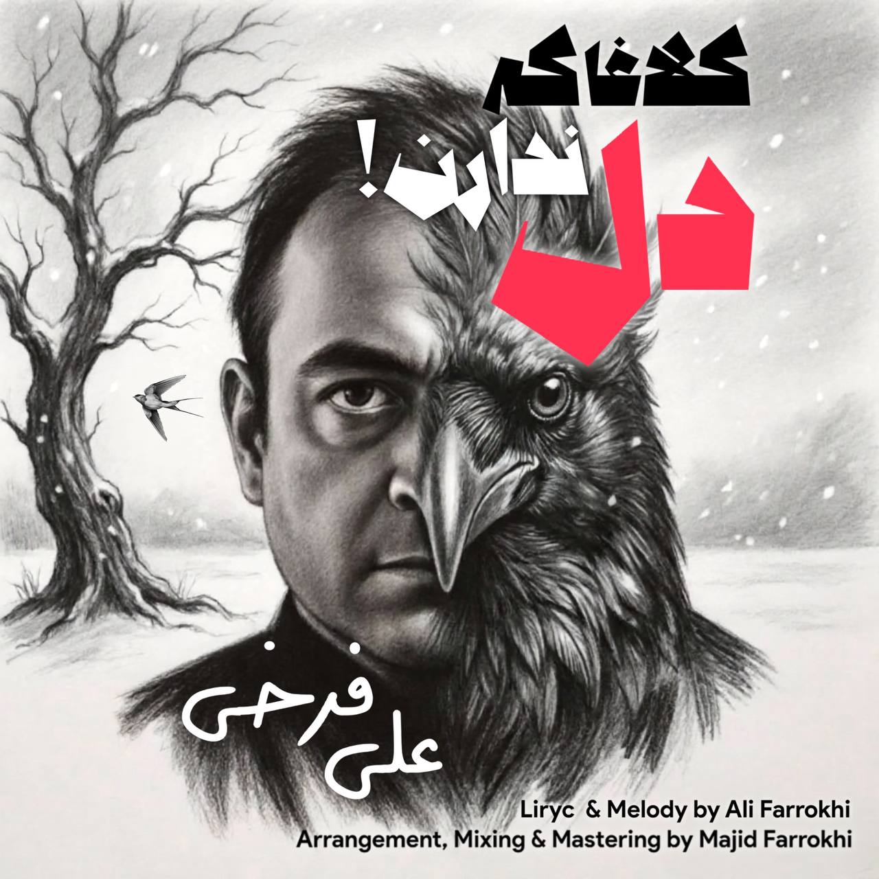 دانلود آهنگ علی فرخی کلاغا که دل ندارن