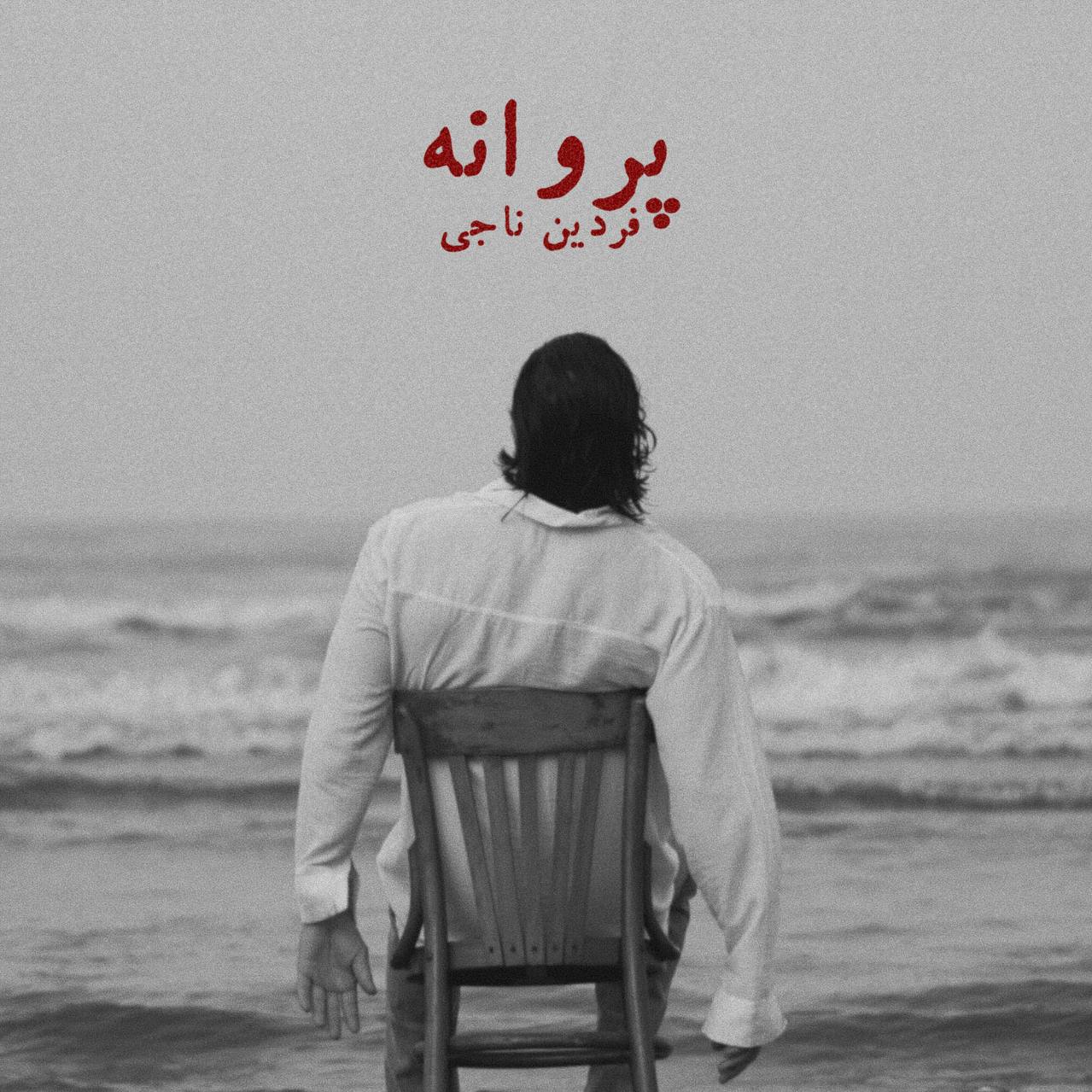 دانلود آهنگ فردین ناجی پروانه