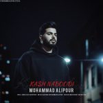 دانلود آهنگ محمد علیپور کاش نبودی